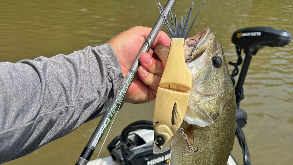 Angler holding largemouth bass caught on SPRO crankbait lure near Minn Kota trolling motor.