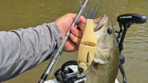 Angler holding largemouth bass caught on SPRO crankbait lure near Minn Kota trolling motor.