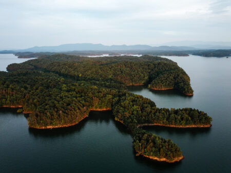 We May Have Just Found the Last Great Secret Fish Town