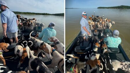 “We Didn’t Reel in a Lot of Fish, But We Reeled in a Lot of Dogs”