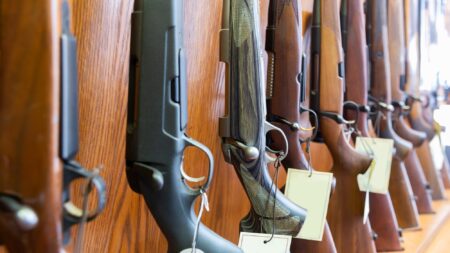 How to Buy a Gun