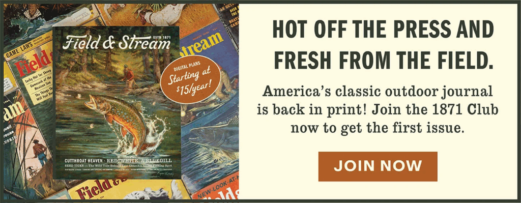 Best Lipless Crankbaits of 2023