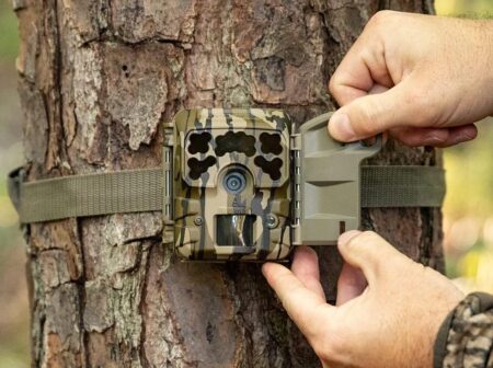 Trail Cameras on Sale Now: Up to 32% Off for Black Friday