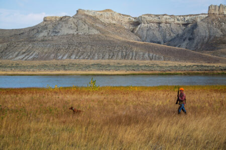 Hunter in orange safety vest walks with dog through golden meadow near river and buttes.
