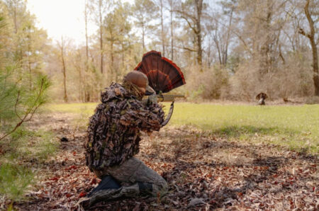 South Carolina Bans Reaping and All Hunting for Jakes Amid Steep Turkey Declines Camouflaged turkey hunter kneeling in woods aiming rifle at wild turkey in field