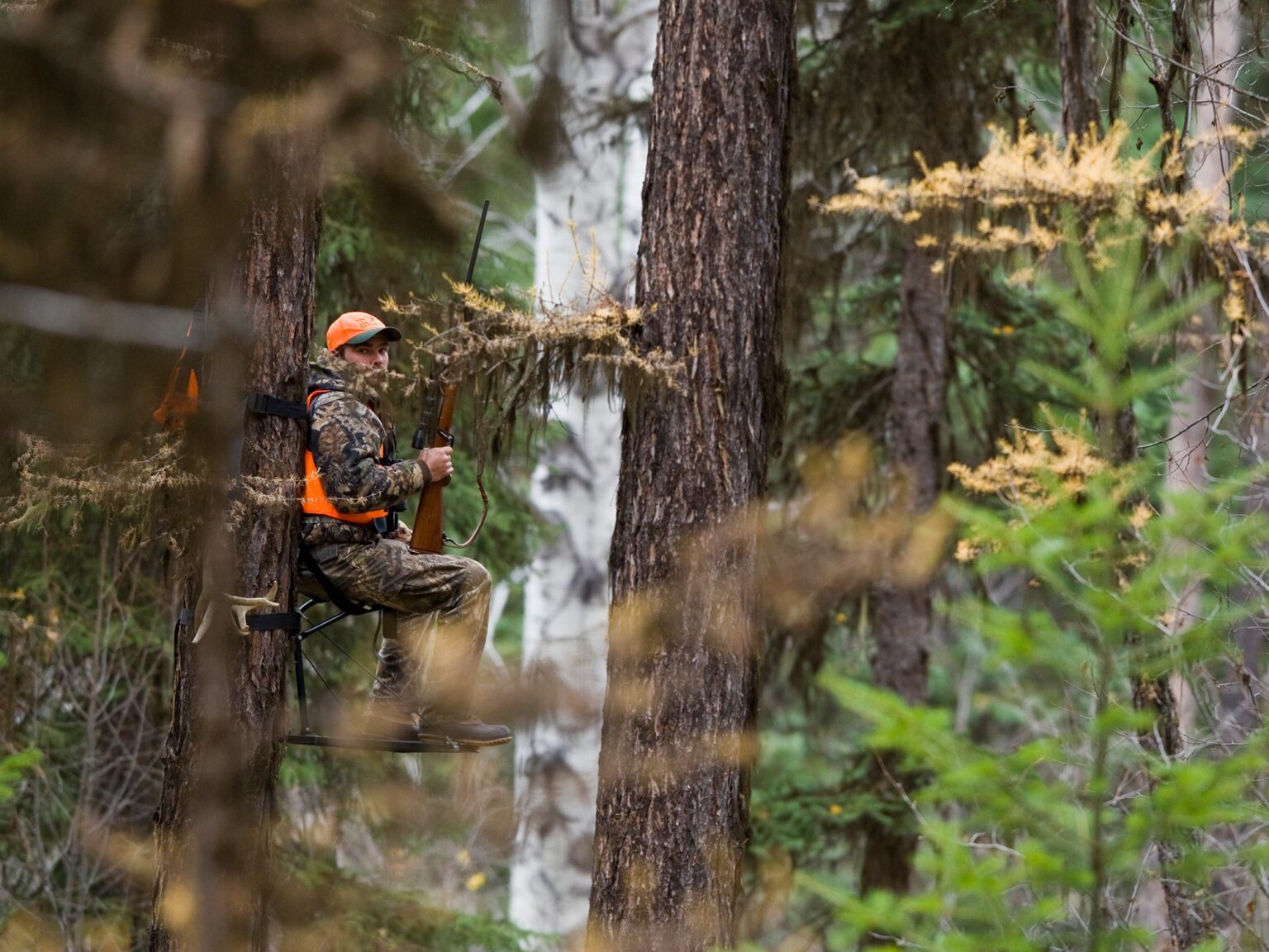 The Lost Art of Sitting Still in a Deer Stand