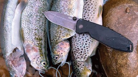 Four trout on a rock with a knife.