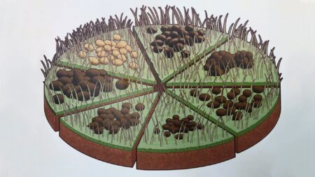 Circular garden diagram divided into six sections showing different types of soil and seeds.