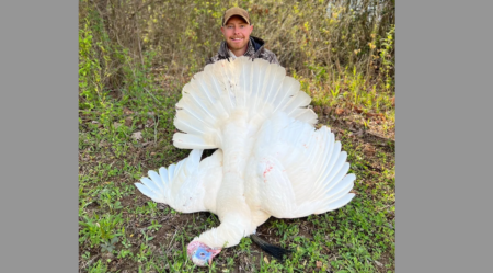 North Carolina Hunter Tags Rare All-White Leucistic Gobbler After a Three-Year Chase Hunter posing with a rare white wild turkey after a successful hunt.