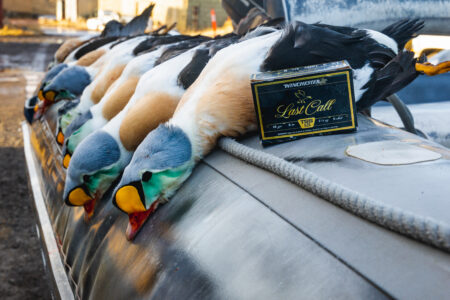 The Latest Shotgun Ammo from the 2025 SHOT Show Harvested mallard ducks displayed on truck hood beside Winchester Last Call shotgun shells