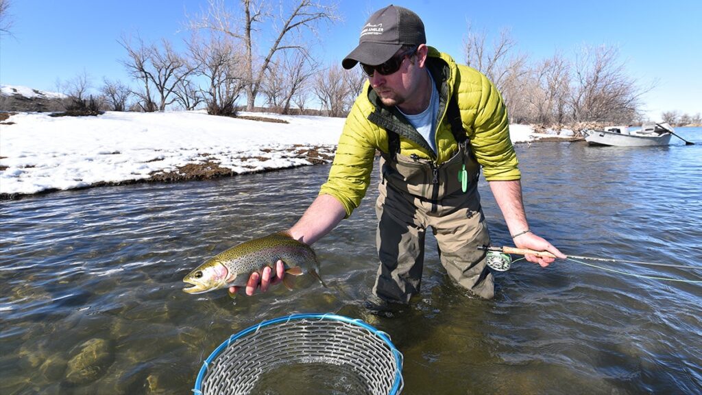 The 5 Best Tailwaters to Fly Fish During the Winter