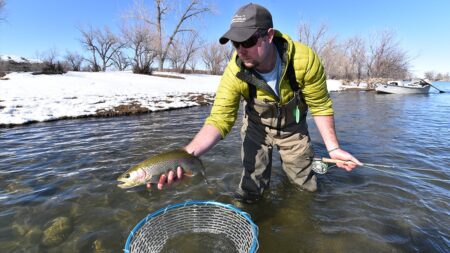 Angler holding rainbow trout while fly fishing in snowy winter river landscape