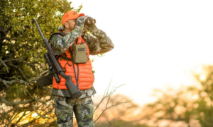 Hunter in blaze orange vest uses binoculars while carrying rifle in woods.