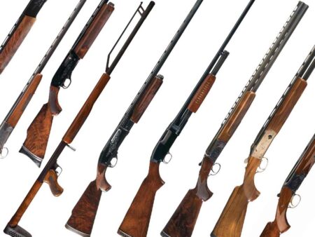 Collection of various shotguns with wooden stocks displayed on white background