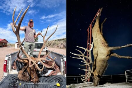 Hunter’s Giant 8×8 Bull Elk Could Break New Mexico State Record