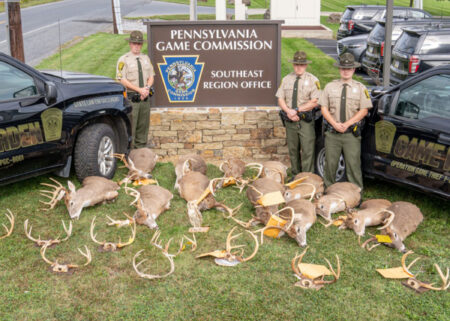 Pennsylvania Game Commission Southeast Region officers display seized illegal deer heads and antlers.