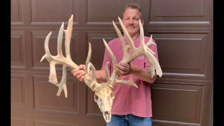 Man in pink shirt proudly displaying large deer skull with impressive antlers outdoors.