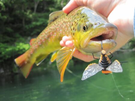 Brood X Cicada Hatch Promises the Wildest Dry-Fly Action in 17 Years Hand holding a brown trout caught on a bee-shaped fishing lure near green water.
