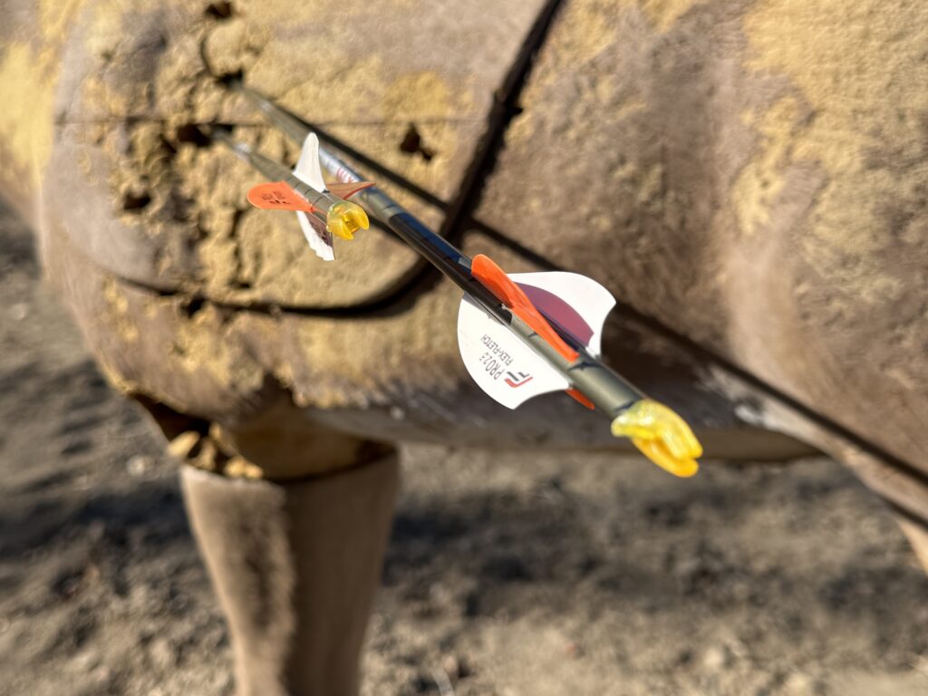 Two arrows nearly touching in a 3D archery target. 