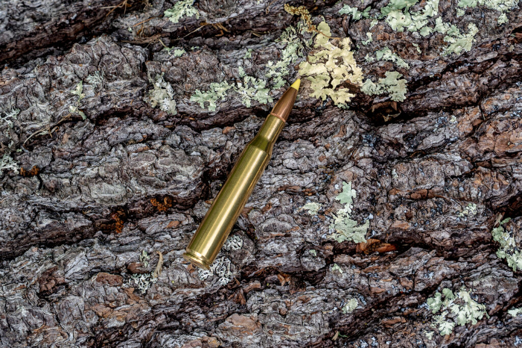 A 270 Winchester cartridge lying on a log.