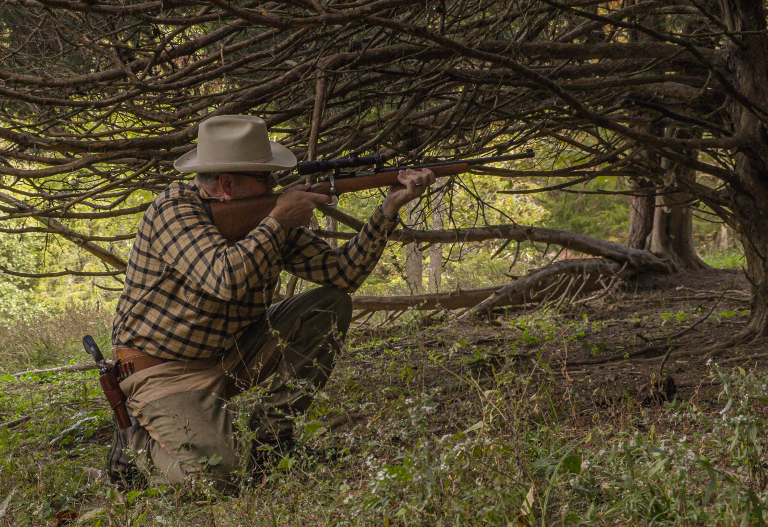 A hunter shoots a Ruger Model 77/44 in trees.