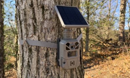 We Put Moultrie’s Solar Trail Camera to the Test—No Batteries Required Moultrie Edge Solar Trail camera on tree