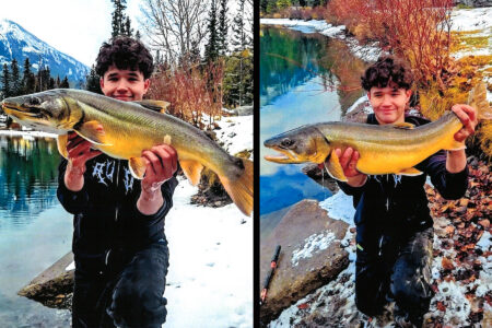 An angler poses with two record-breaking bull trout.