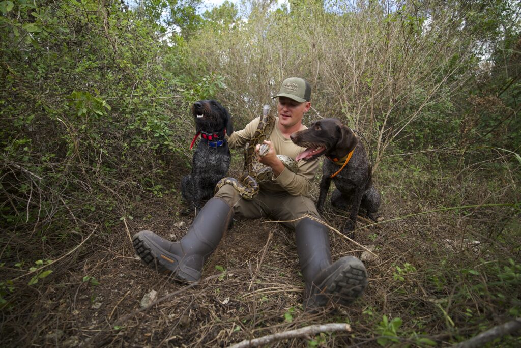 A man sits on the ground with a python around his neck and dogs on both sides of him