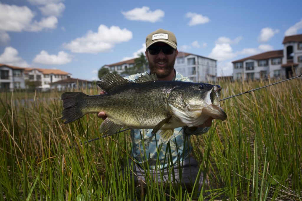 A fisherman holds a giant bass.