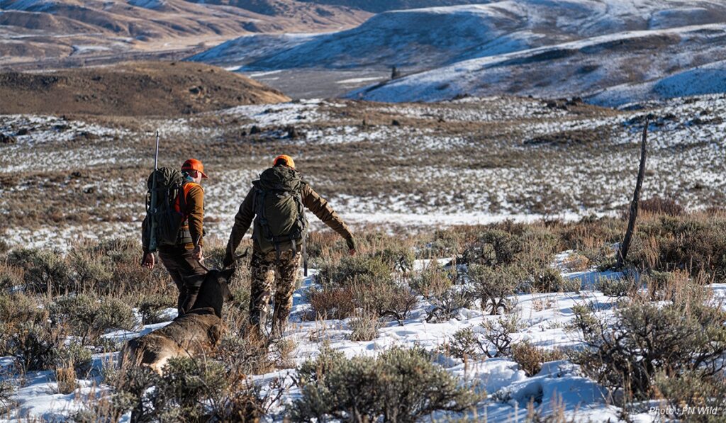 Two hunter drag a deer on private land in Montana.