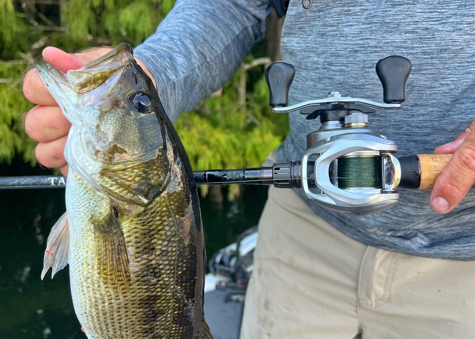 best bass fishing reel on the market The Best Baitcasting Reels Under $100