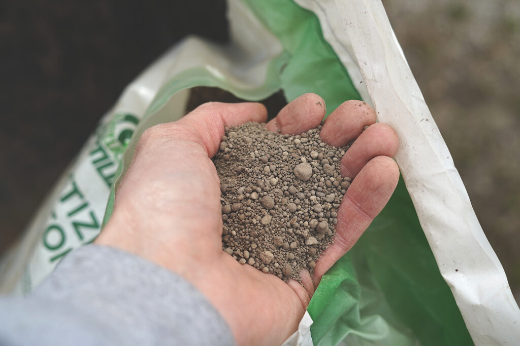 Granular lime in a person's hand.
