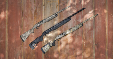 Three shotguns on wood
