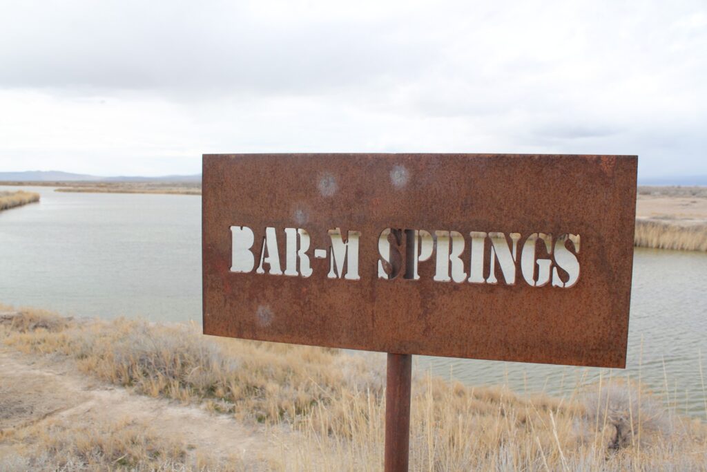 A spring-fed pond inside a Utah waterfowl refuge.