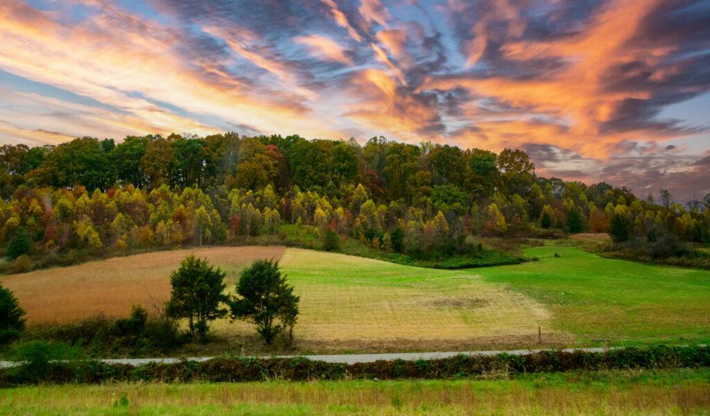 Scenic farmland scene