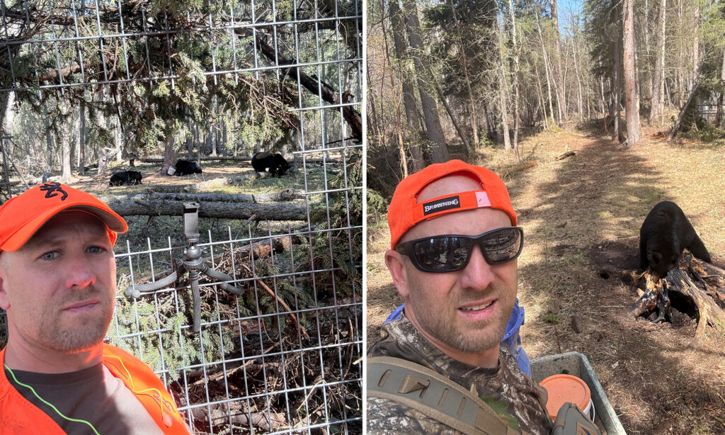 A hunter sitting on the ground while bear hit nearby bait.