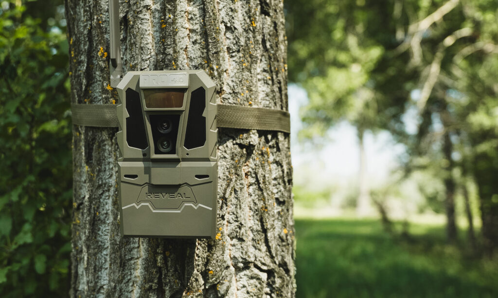 Tactacam Reveal Pro 4.0 cellular trail camera attached to a tree trunk