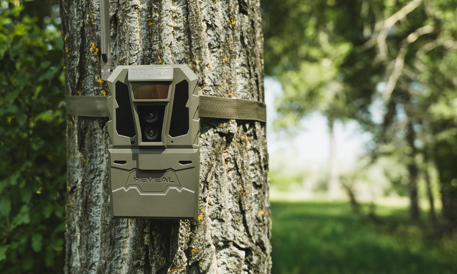Tactacam Reveal Pro 4.0 cellular trail camera attached to a tree trunk