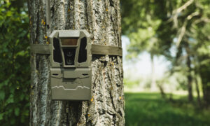 Tactacam Reveal Pro 4.0 cellular trail camera attached to a tree trunk