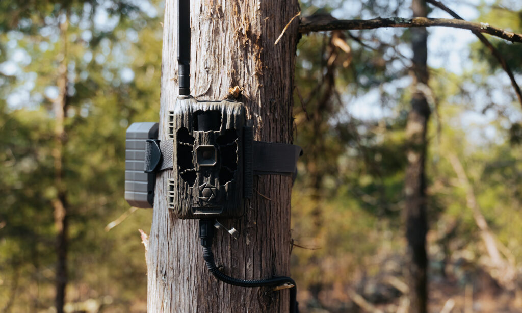 Stealth Cam Deceptor Max 3.0 Cellular trail camera attached to a tree