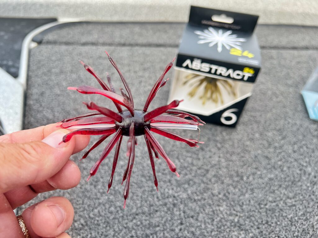 6th Sense Abstract in hand