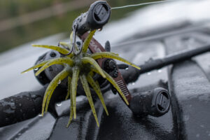 Urchin bait on reel