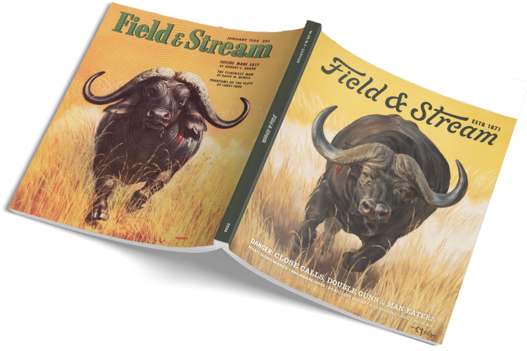FALL 26 -FRONT AND BACK COVER