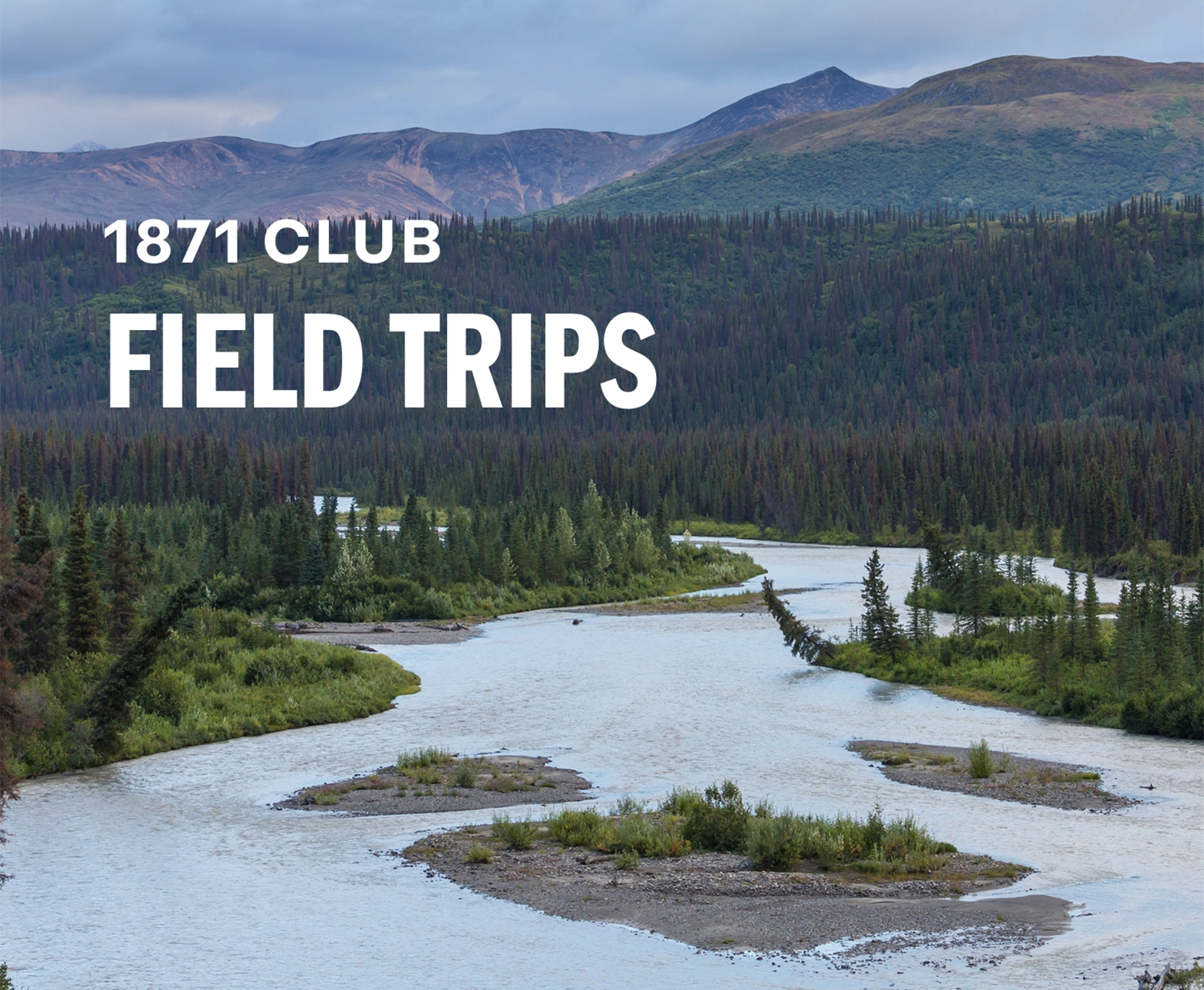 Field Trips