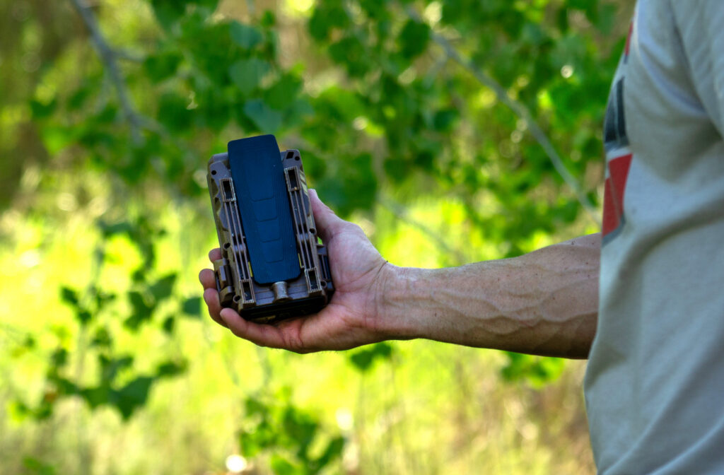 Folded antenna on the back of a Browning cell cameras