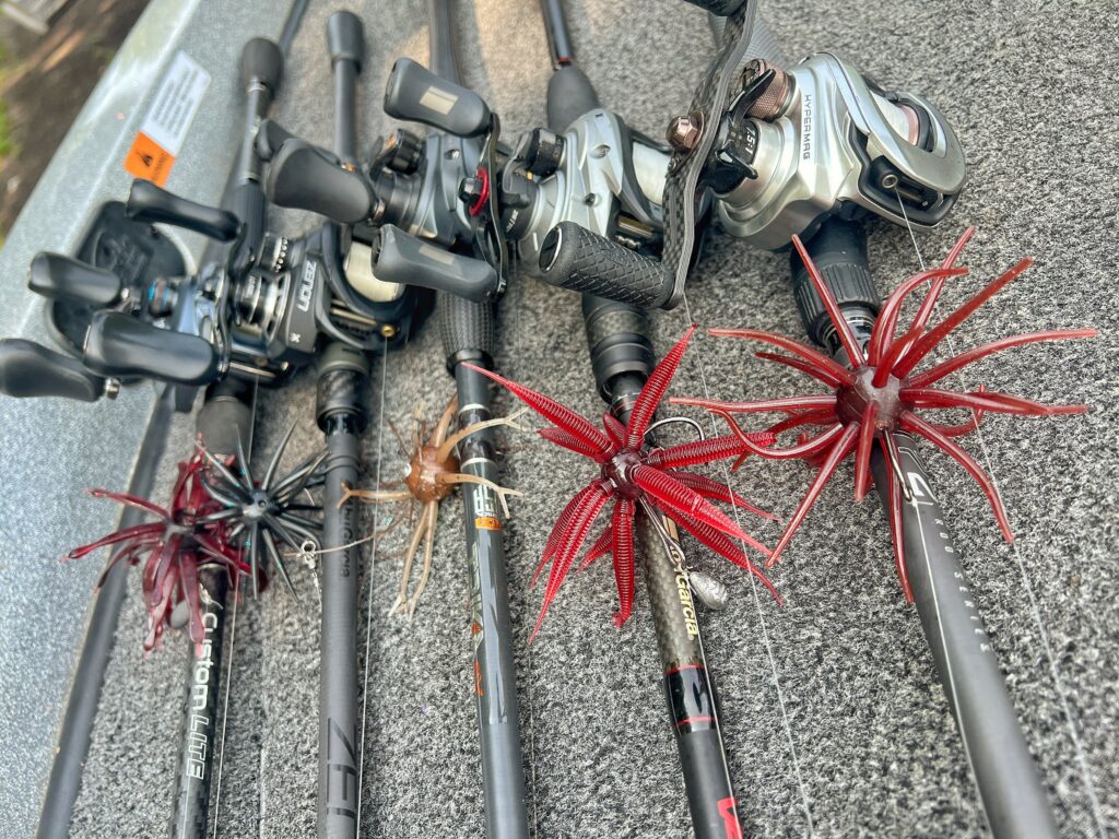 Five fishing rods rigged with urchin baits