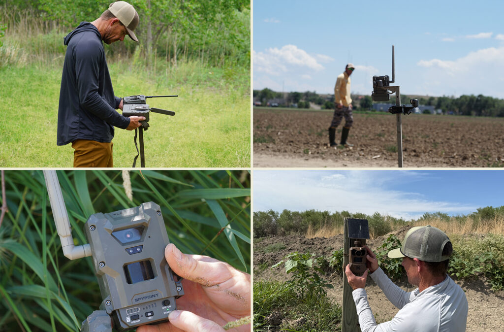 Testing the best cellular trail cameras