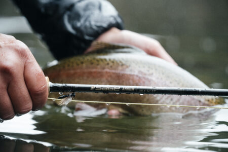 Sage Arrow Fly Rod Review—Field Tested Sage Arrow fly rod with rainbow trout released into water