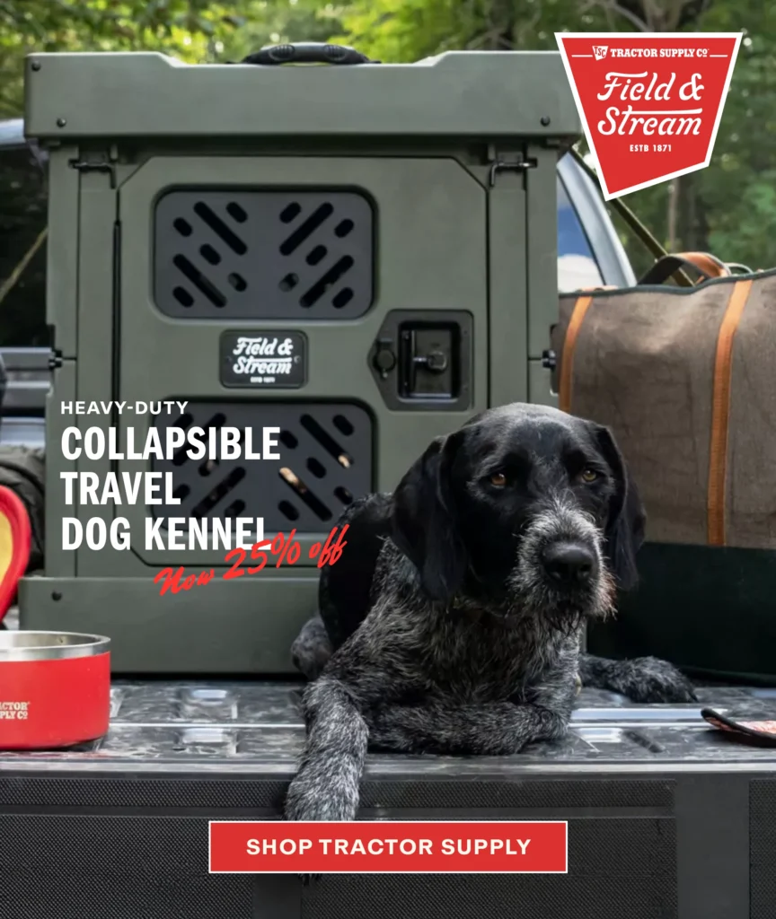 F&S x TSC Dog Kennel
