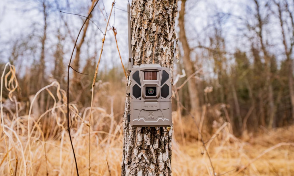 Tactacam Trail Cameras Are Up to $70 Off Right Now Tactacam Reveal X 3.0 trail camera on tree